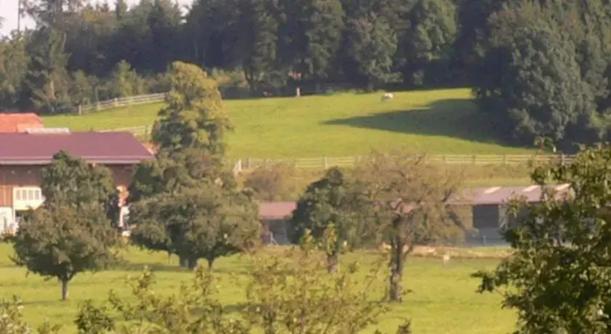 Horsehillcenter