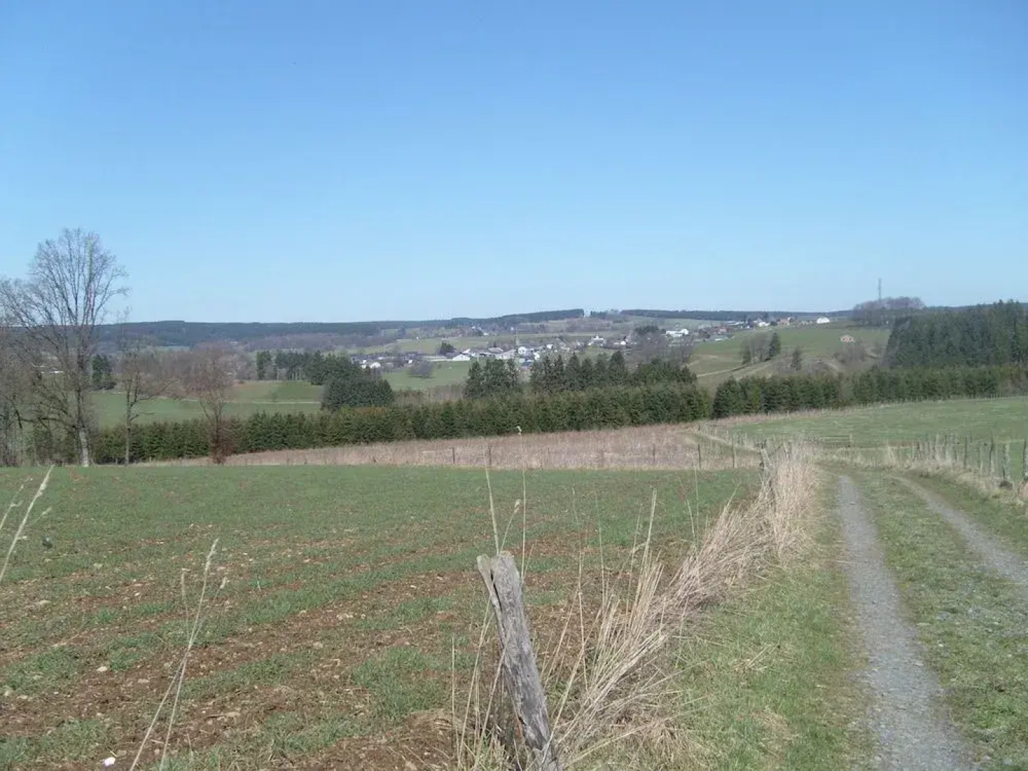 Willow Spring Way Station Bed & Breakfast