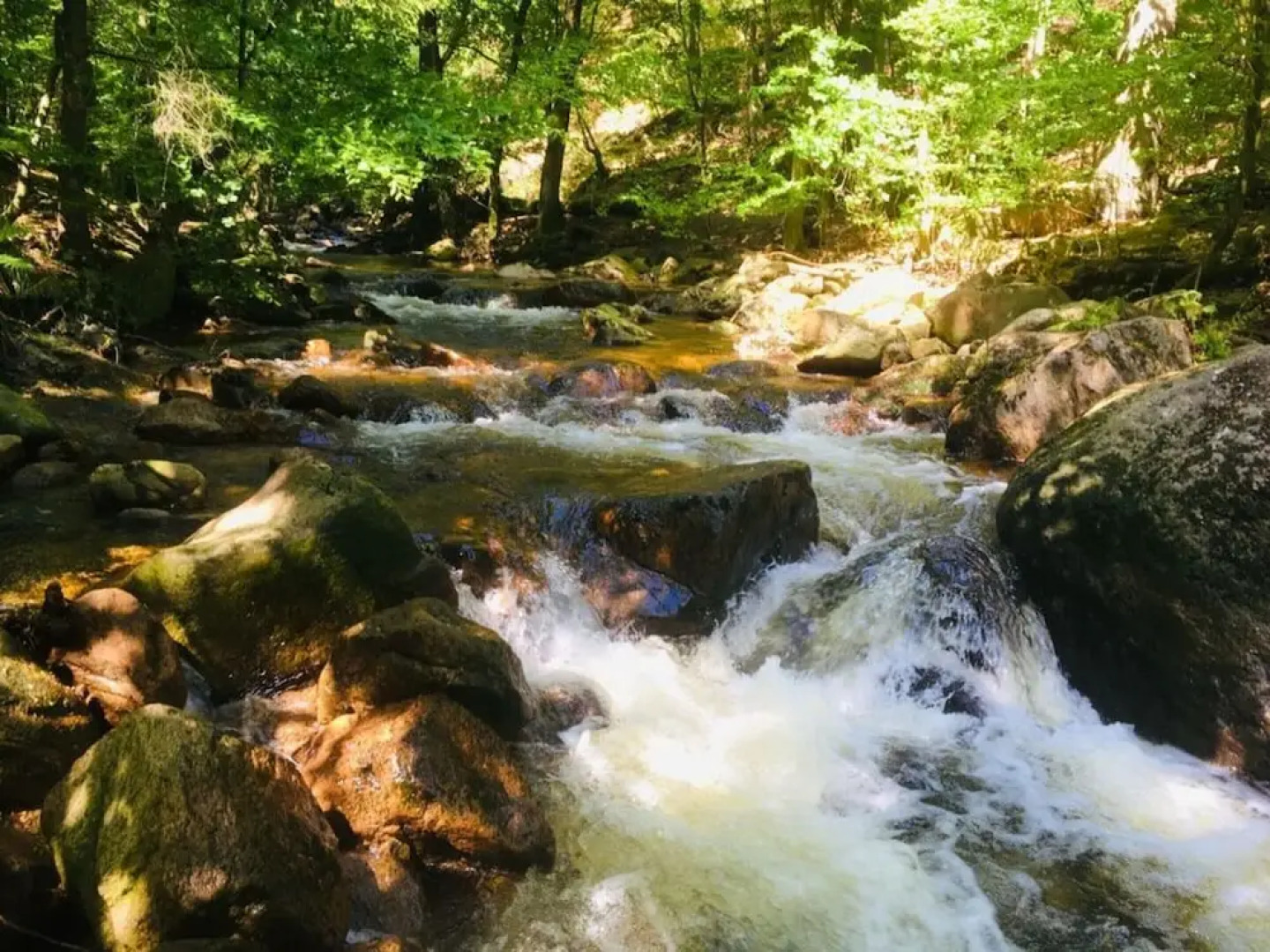 Villa _peacock Suite