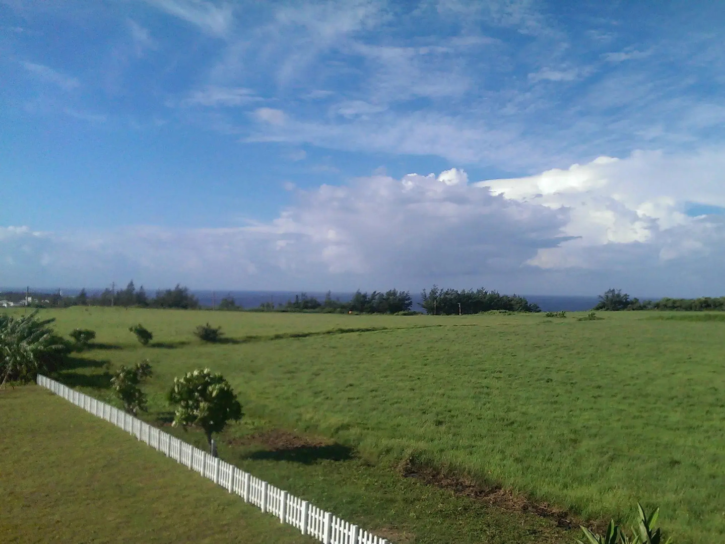 No. 631 Pudding Villa I