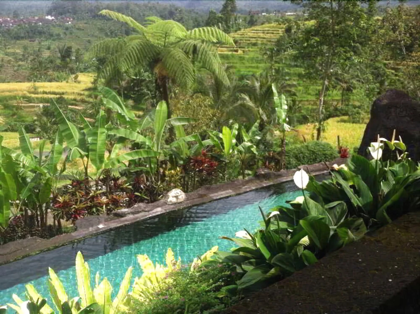 Soka Jatiluwih Villas