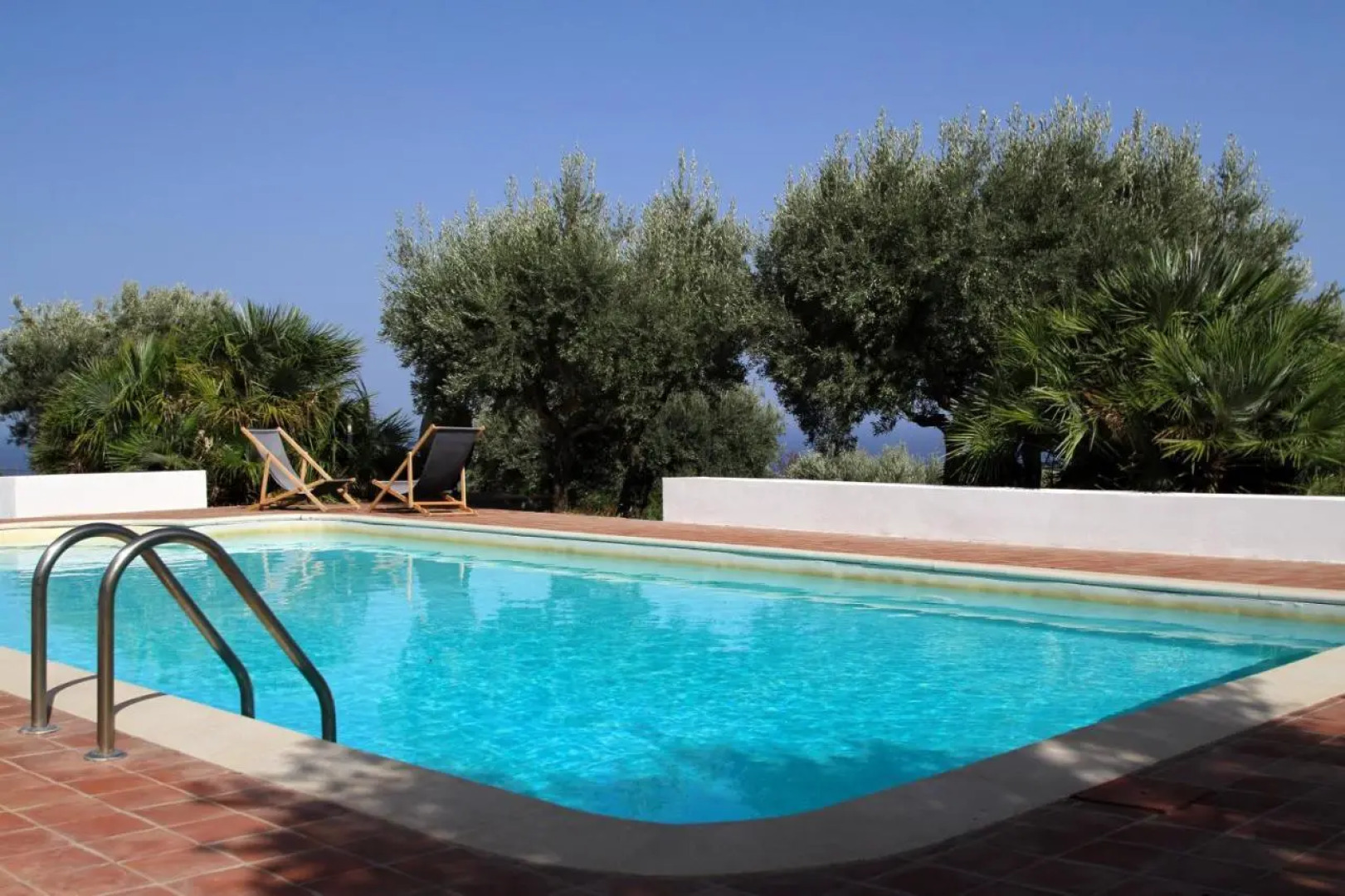 La Gabbianella E Il Gatto