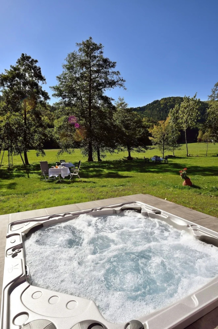 Logis Hotel Des Vosges