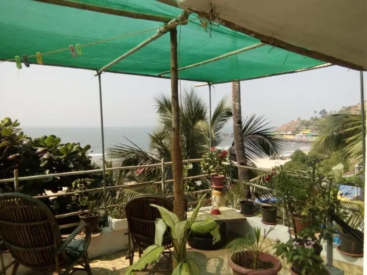 Cactus Guesthouse