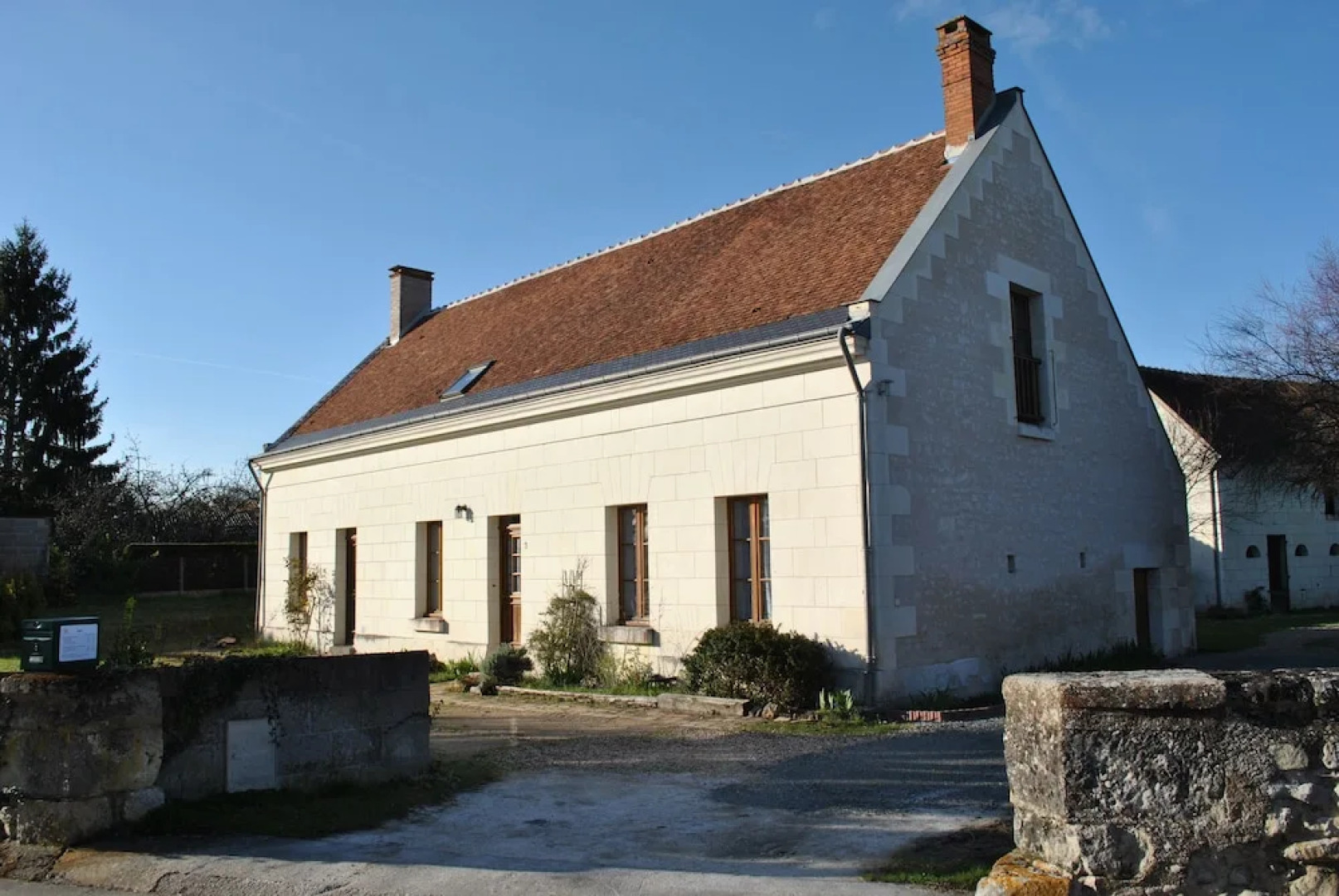 Le Tulipier de Virginie