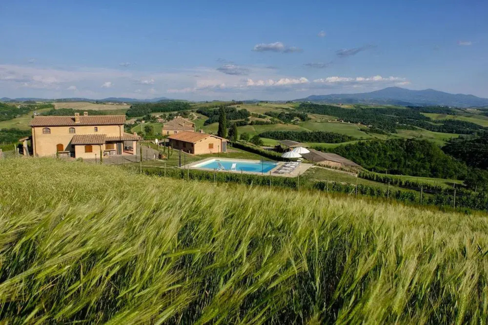 Podere Torricella