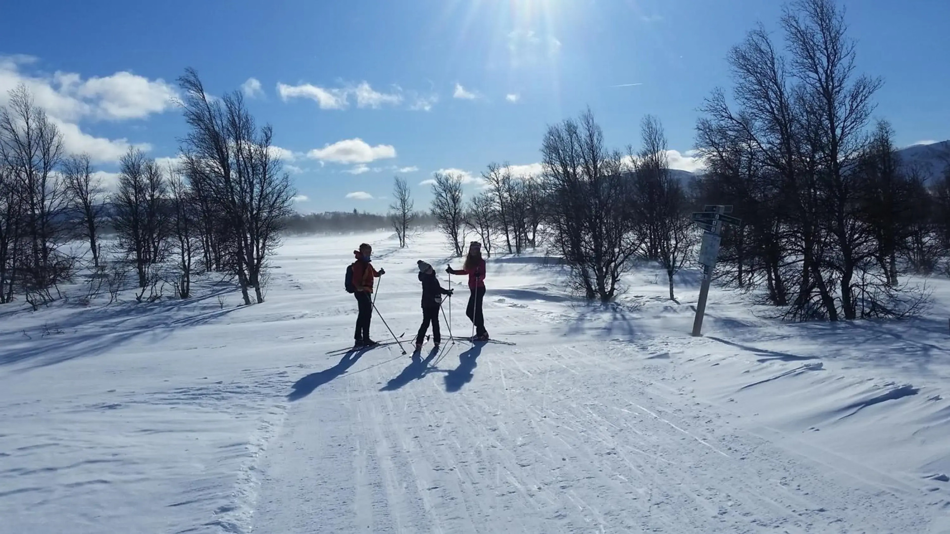 Skjeggestad Gjestehus