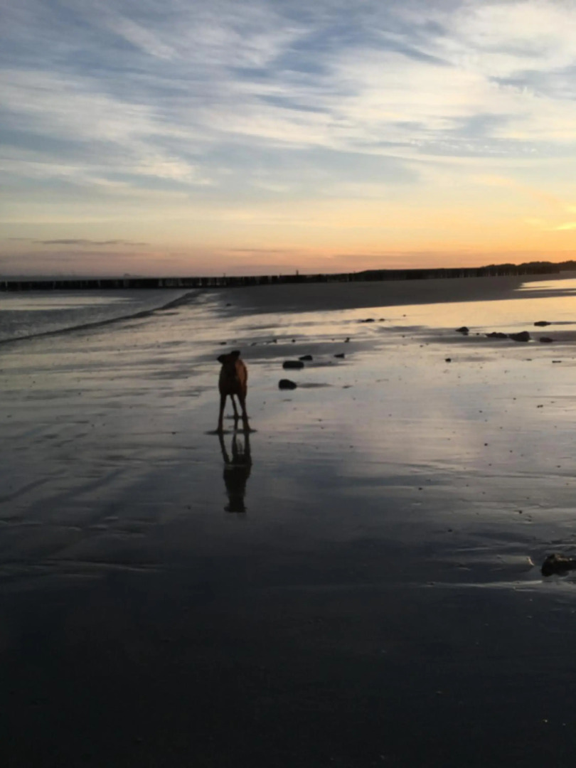 Ferienchalet „Sundowner“