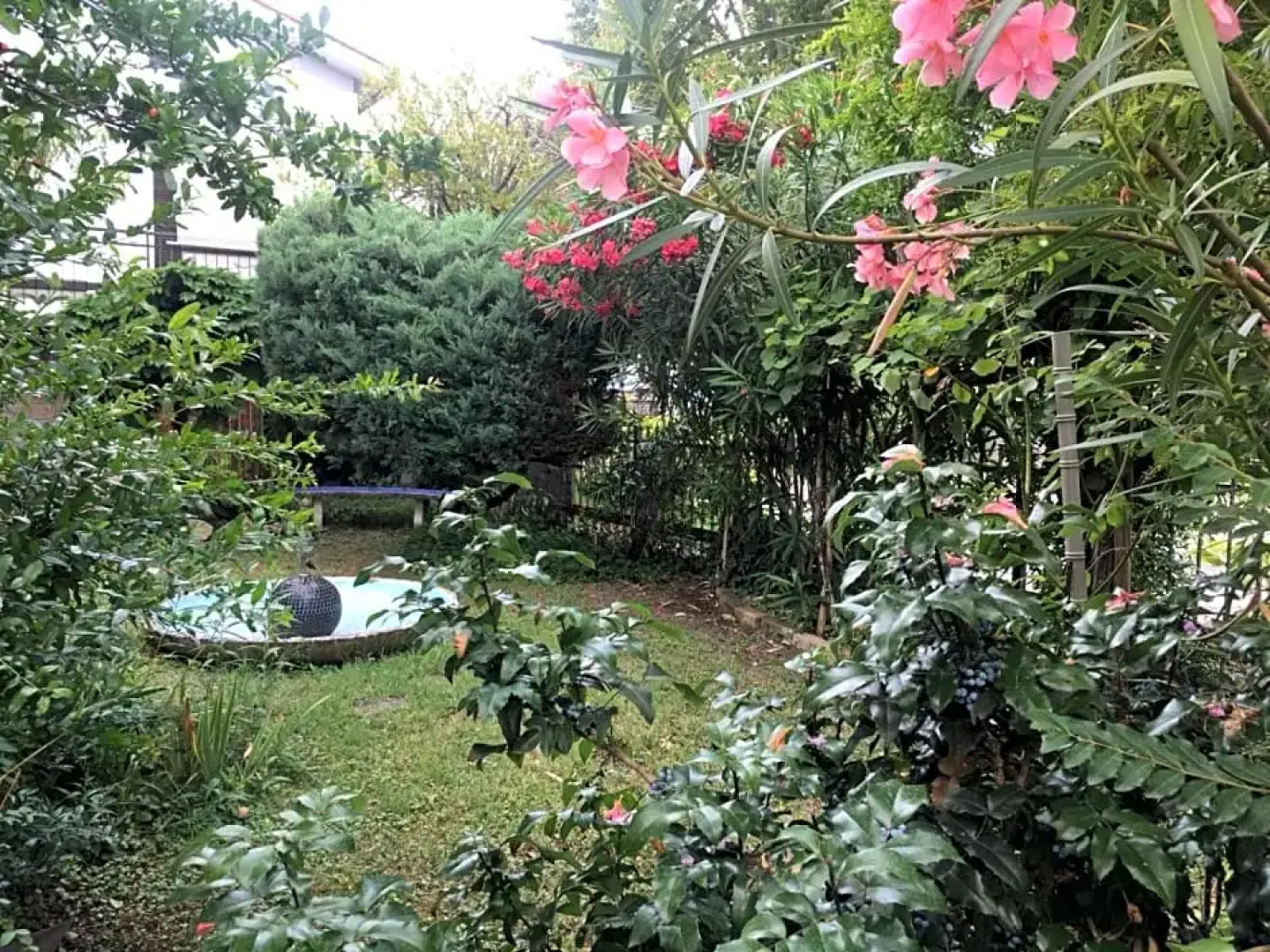 Alla Rotonda dai Santi