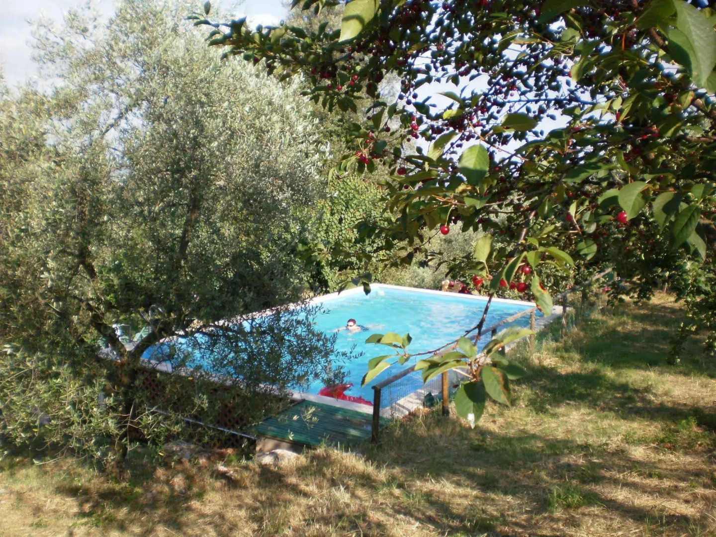 Agriturismo Podere Ficareto