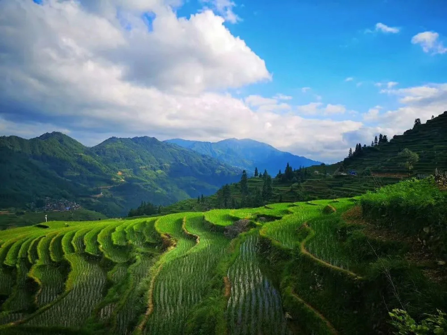 Longji  Terraces Banshan Homestay