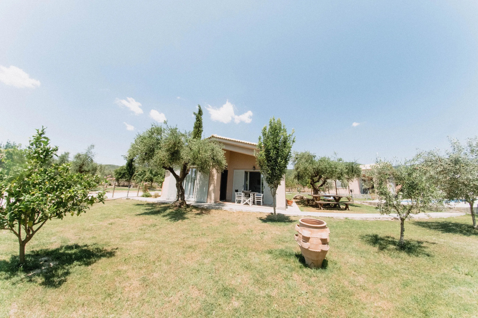 Socrates Organic Village - Wild Olive