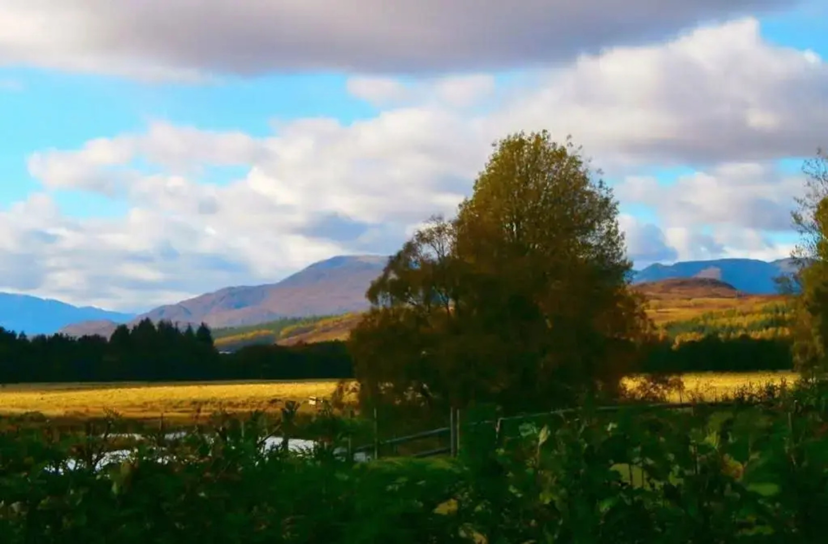 Serendipity Bed And Breakfast