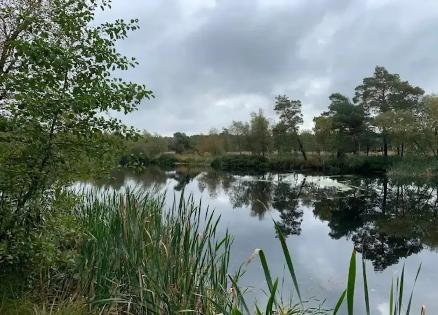 Dunenhaus in Dierhagen