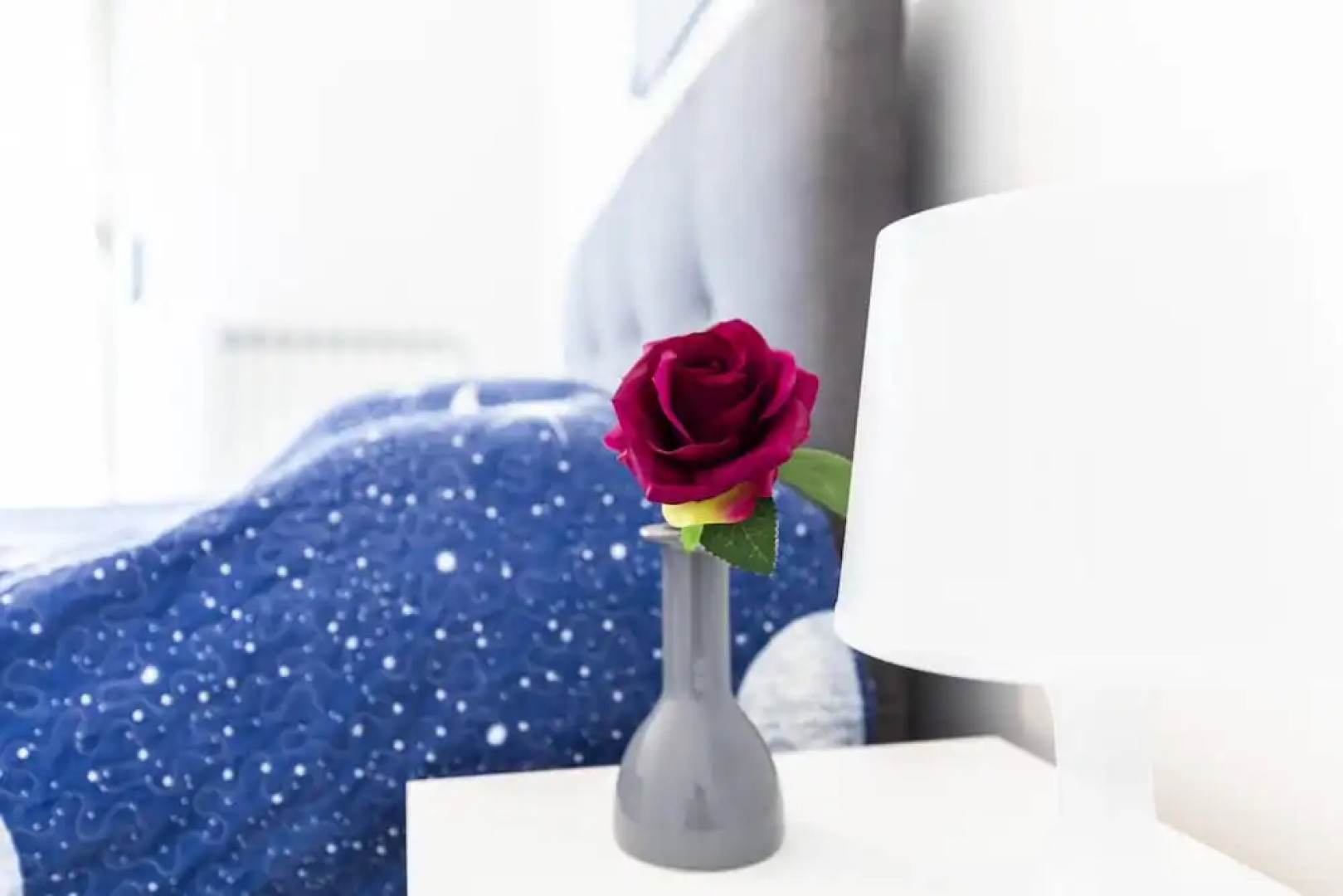 Trilocale Noverasco IEO 1