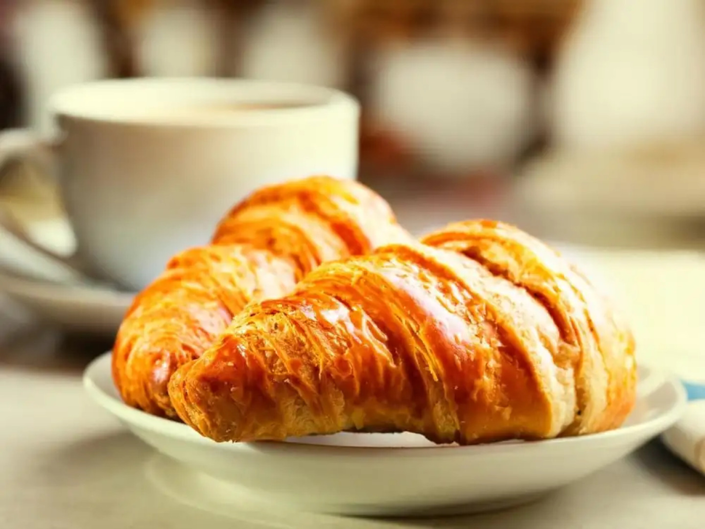 University of Exeter Holland Hall