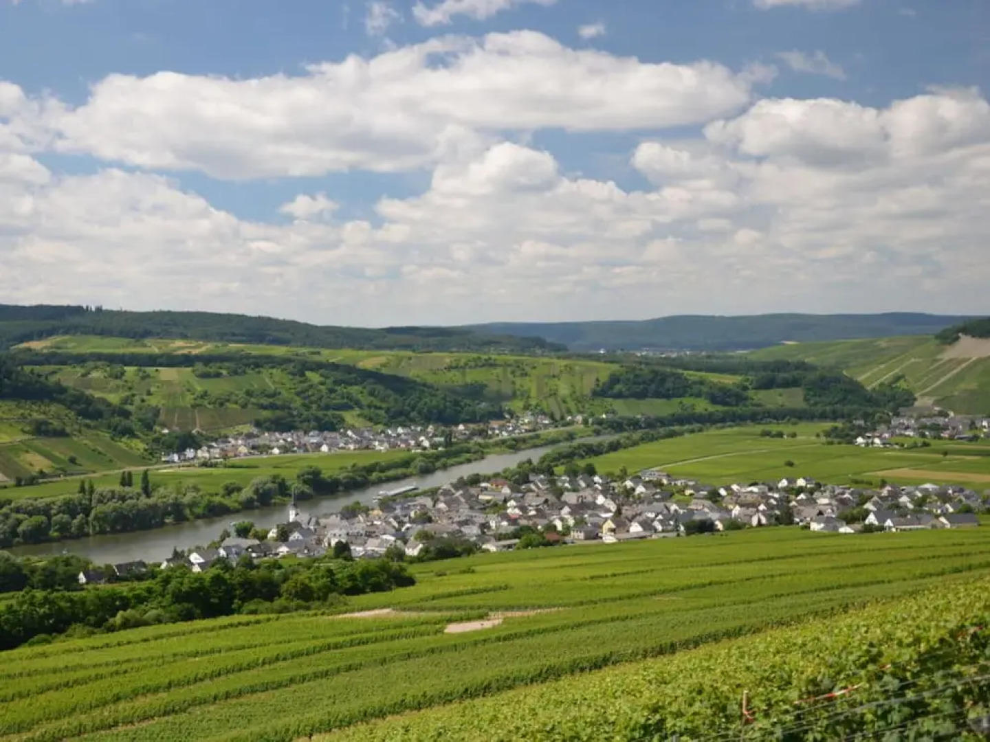 Riesling Apartment on the Moselle Terrace
