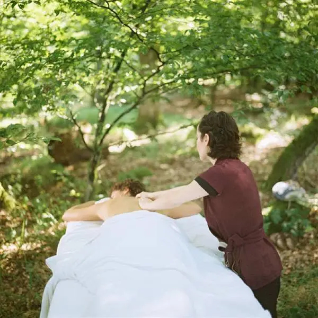 La Clairiere Bio & Spahotel