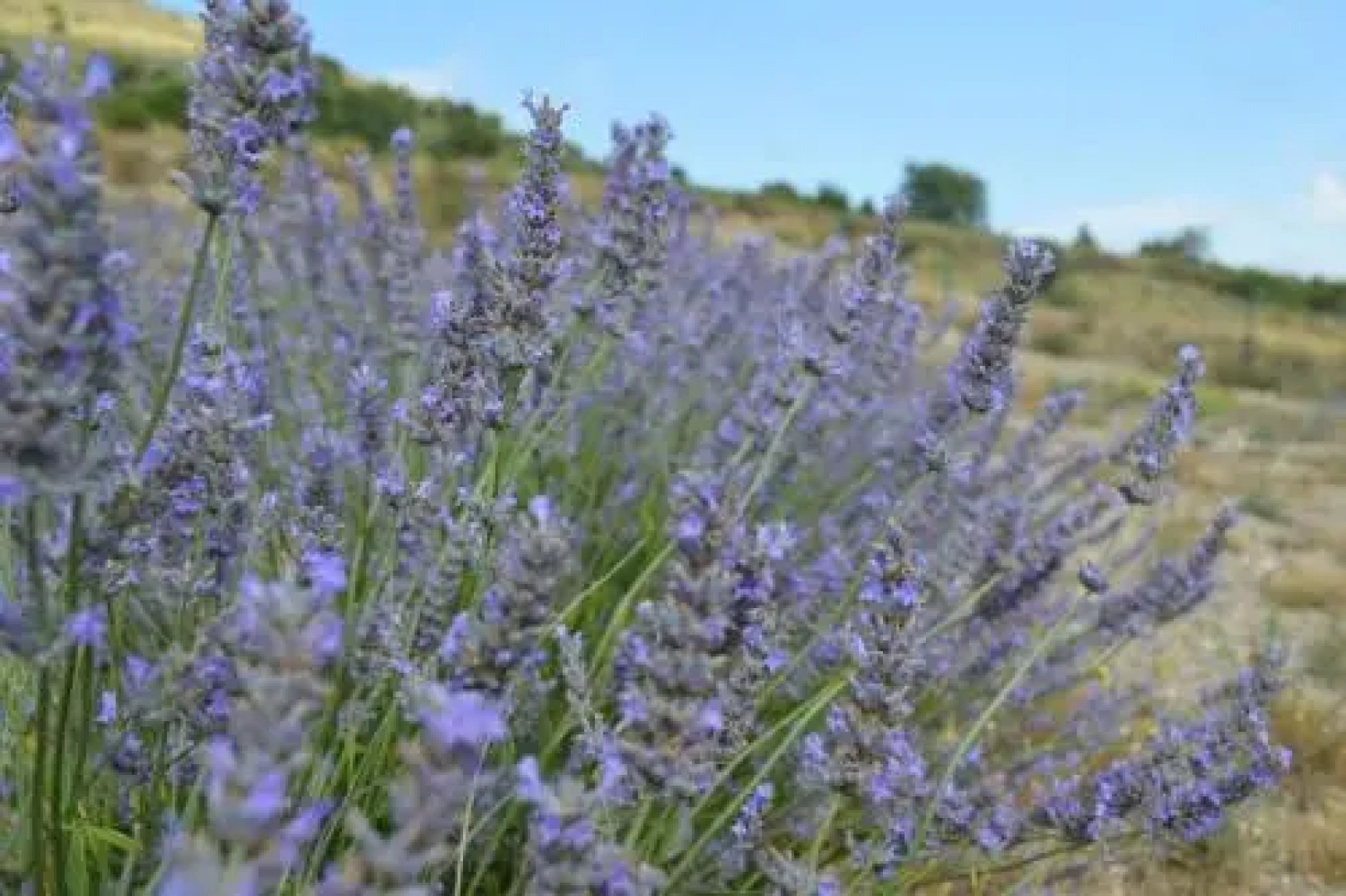 Hotel Rural Las Abadias