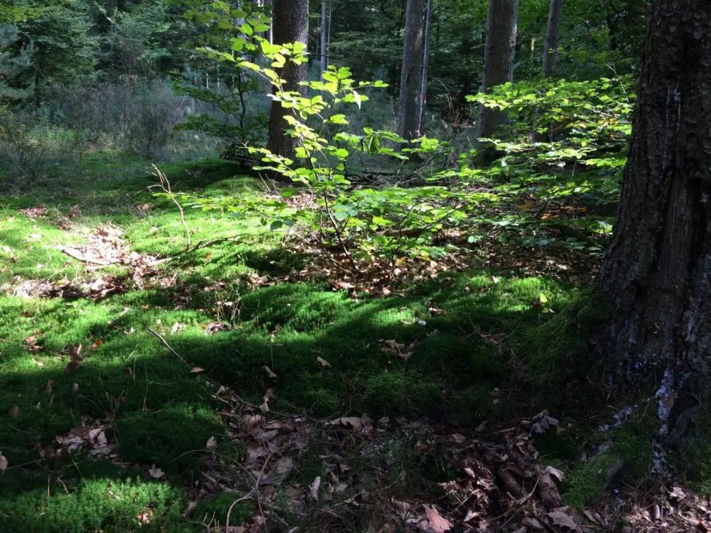 Un gîte dans la vallée