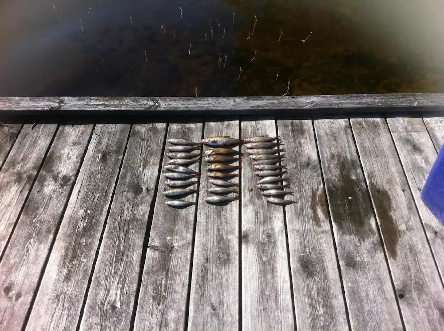 Ivögården Mat & Vingård