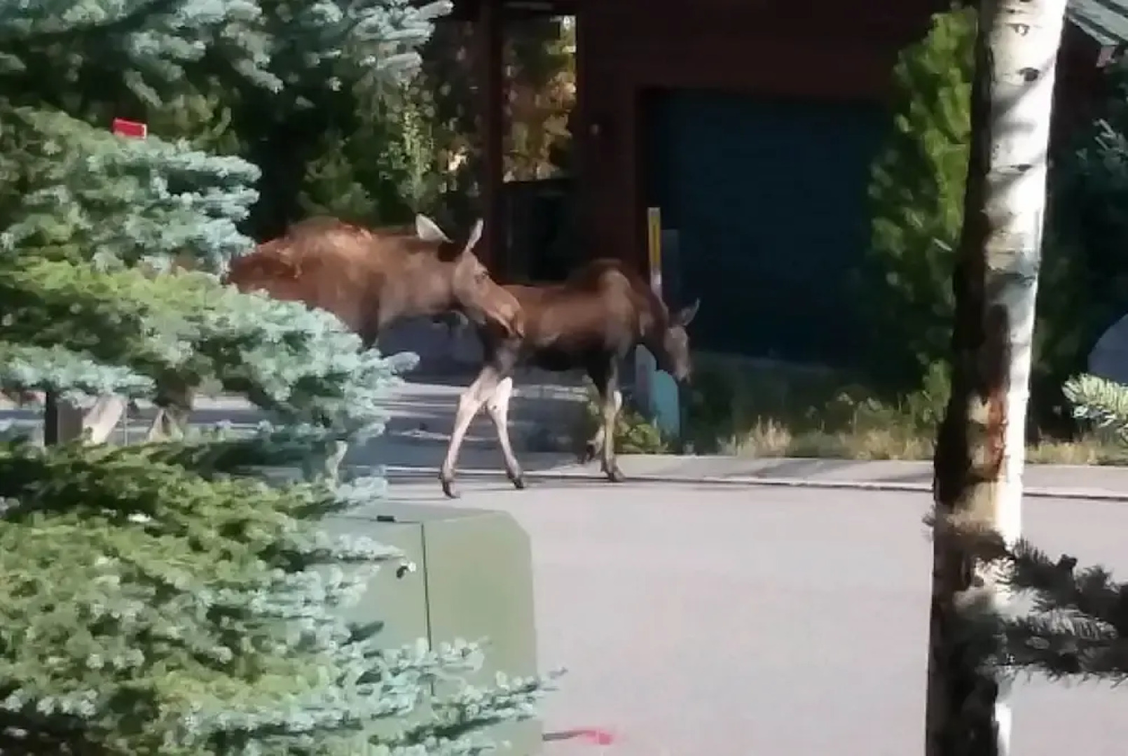 1 Mi to Grand Lake: Family-friendly Gem w/ Hot Tub