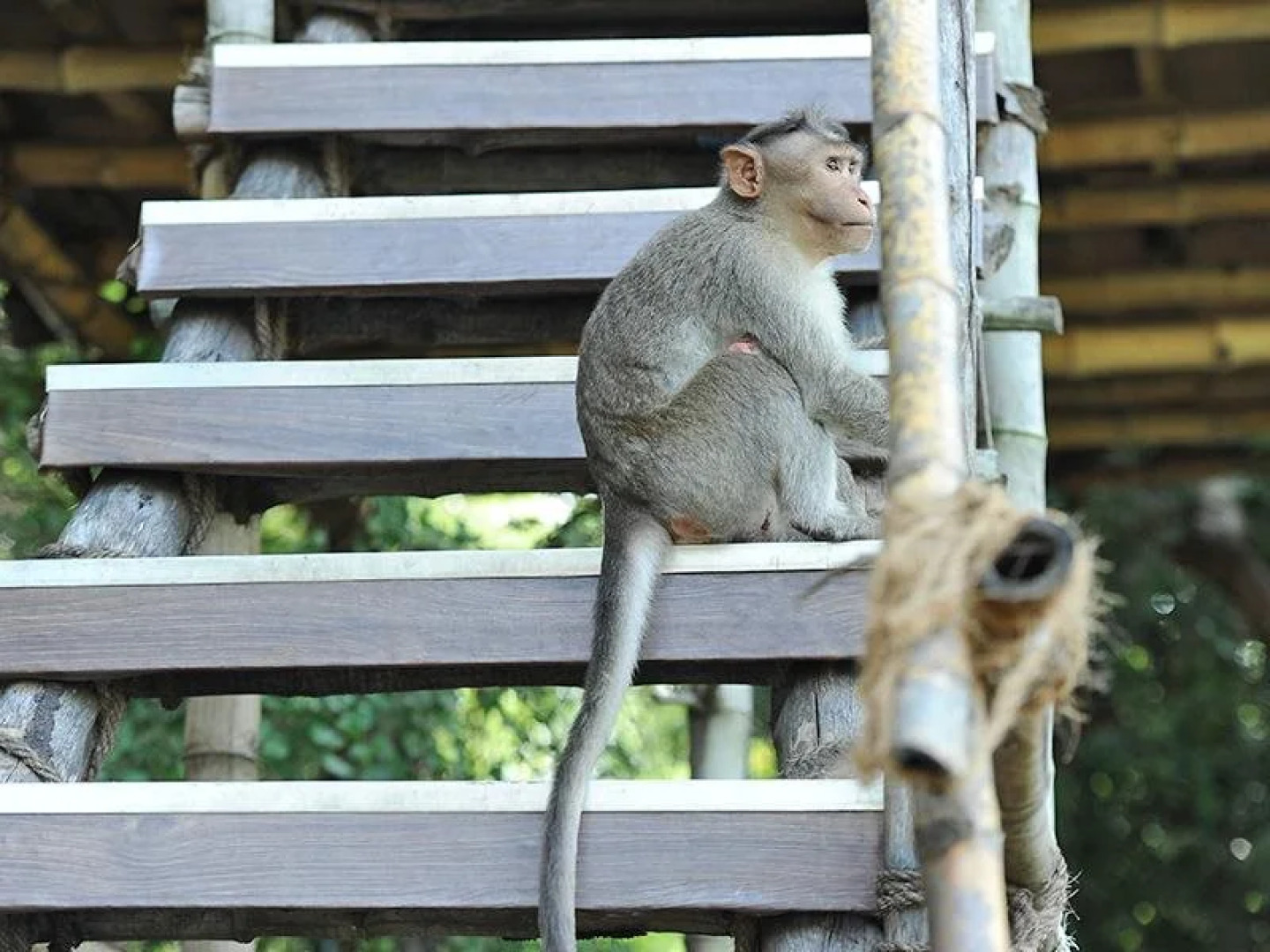 River Valley Resorts