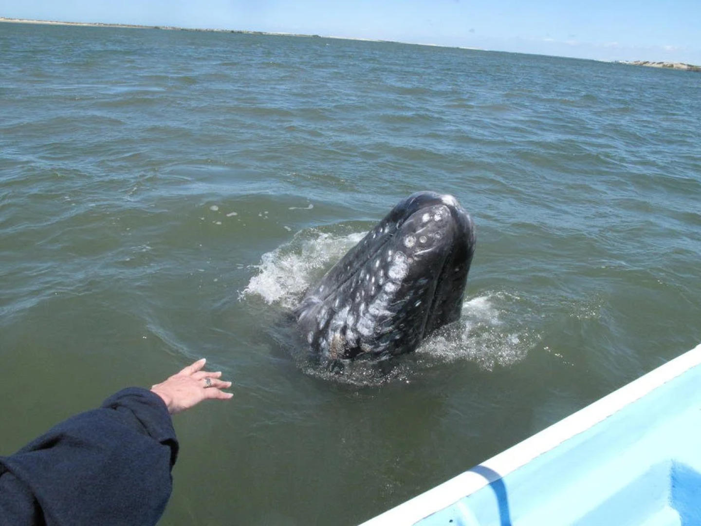 Hacienda Paraiso de La Paz