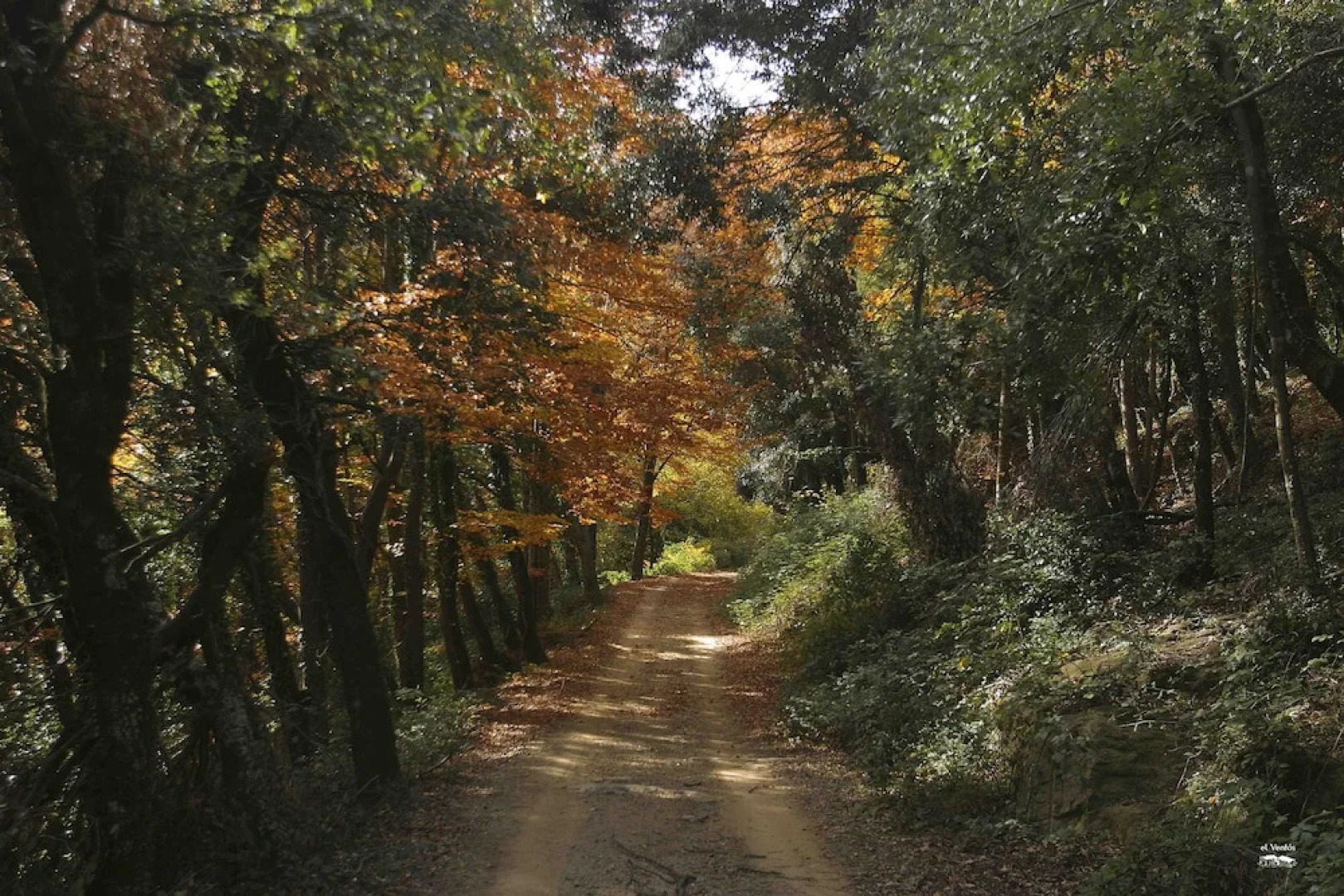 Hotel Finca El Ventós