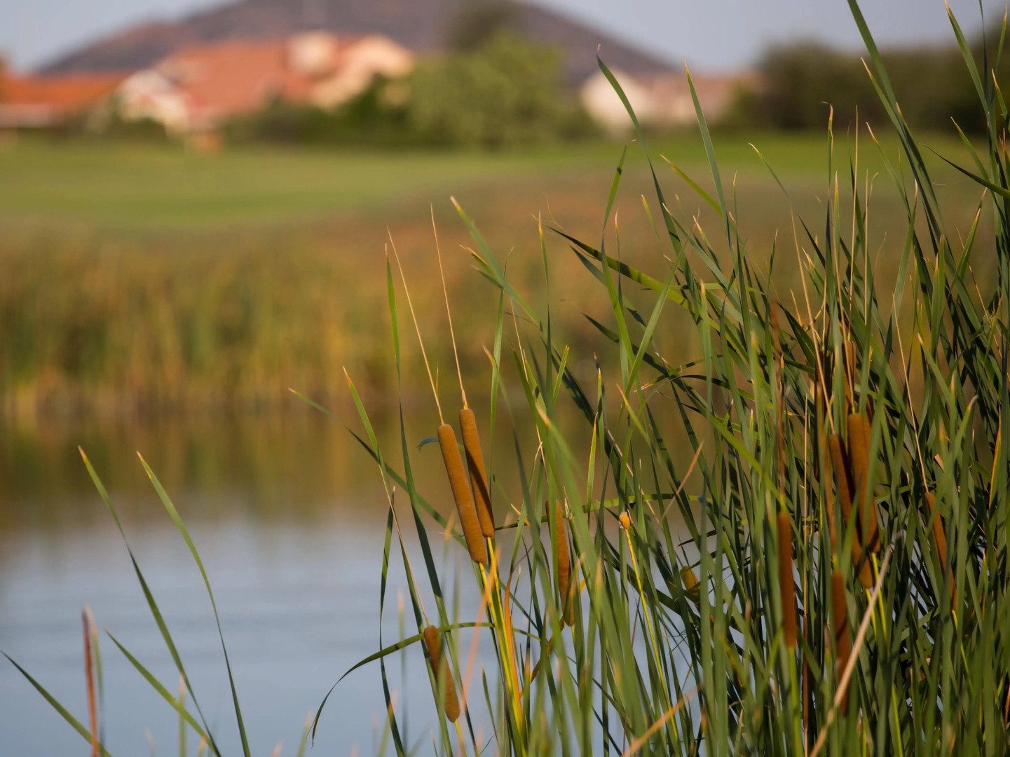 Phakalane Golf Estate Hotel Resort