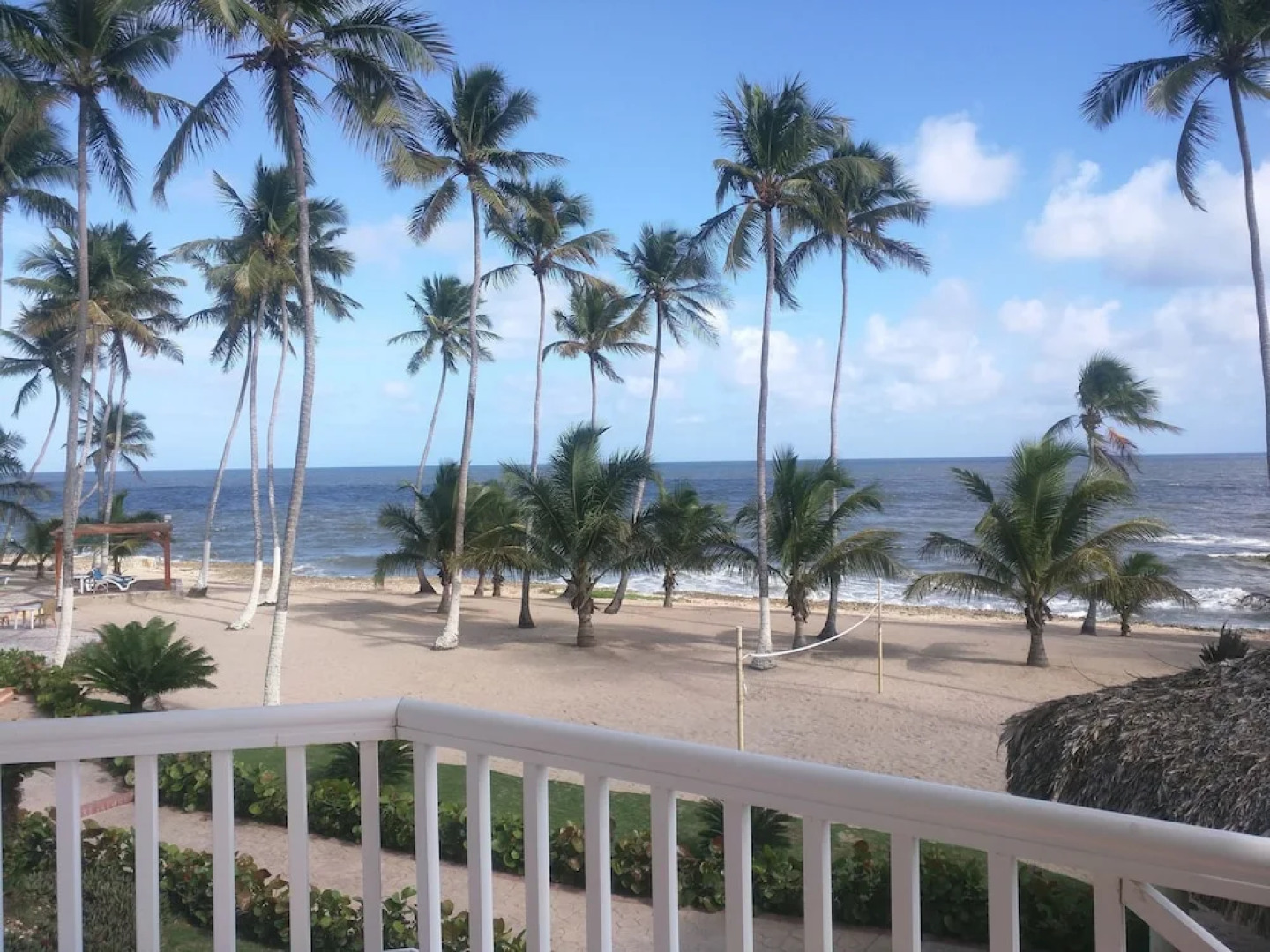 PTV Apartamentos en Albatros