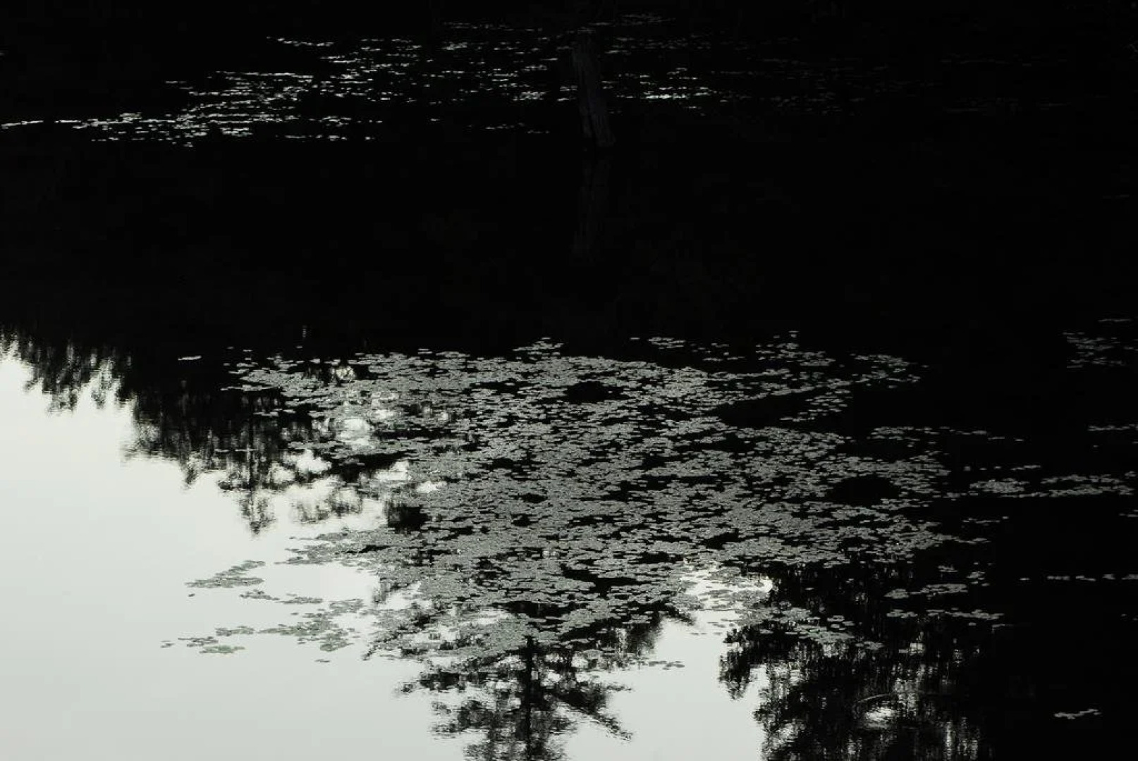 The Pines Cottage Resort