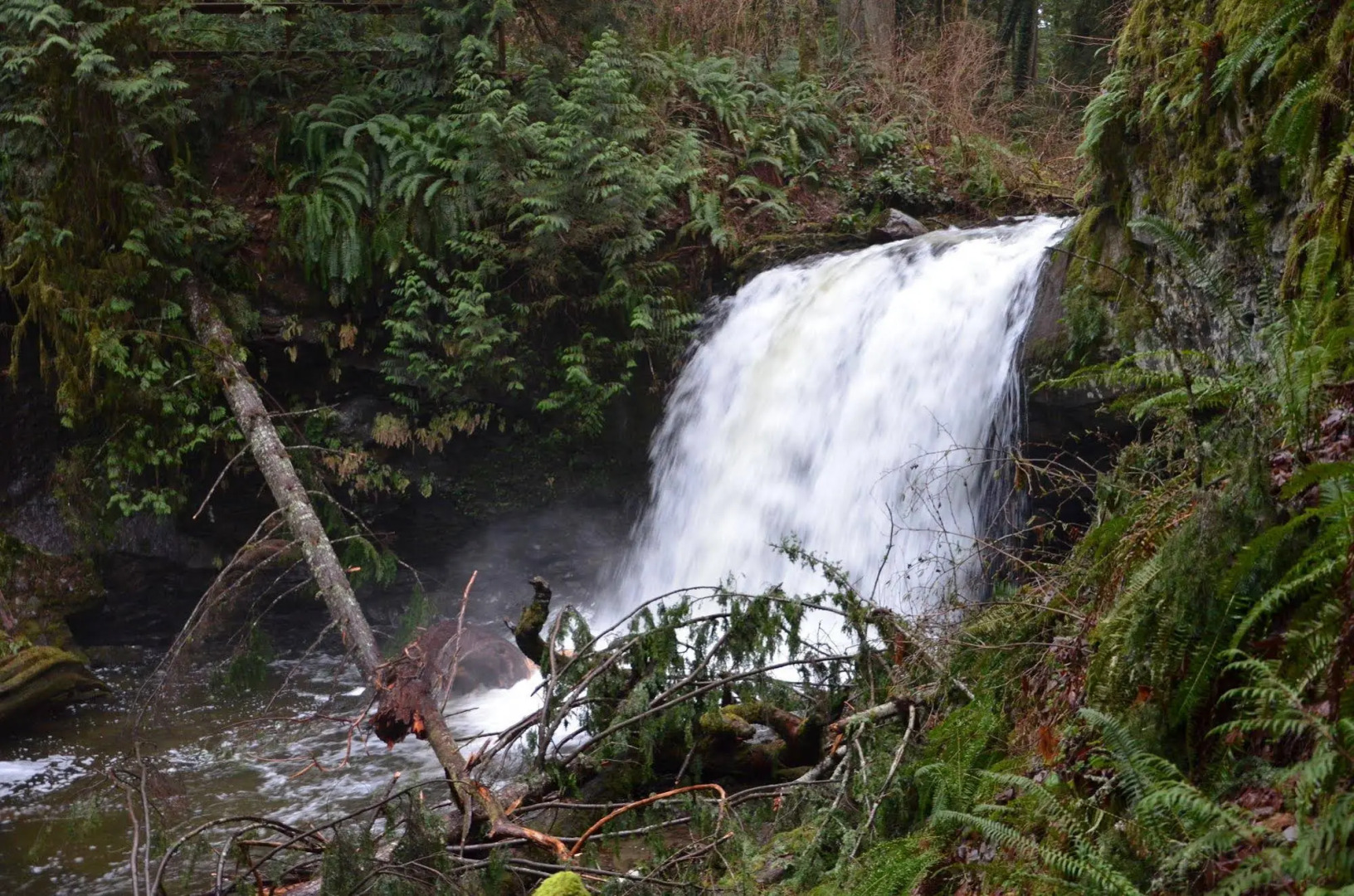 Eagle Rock Bed and Breakfast