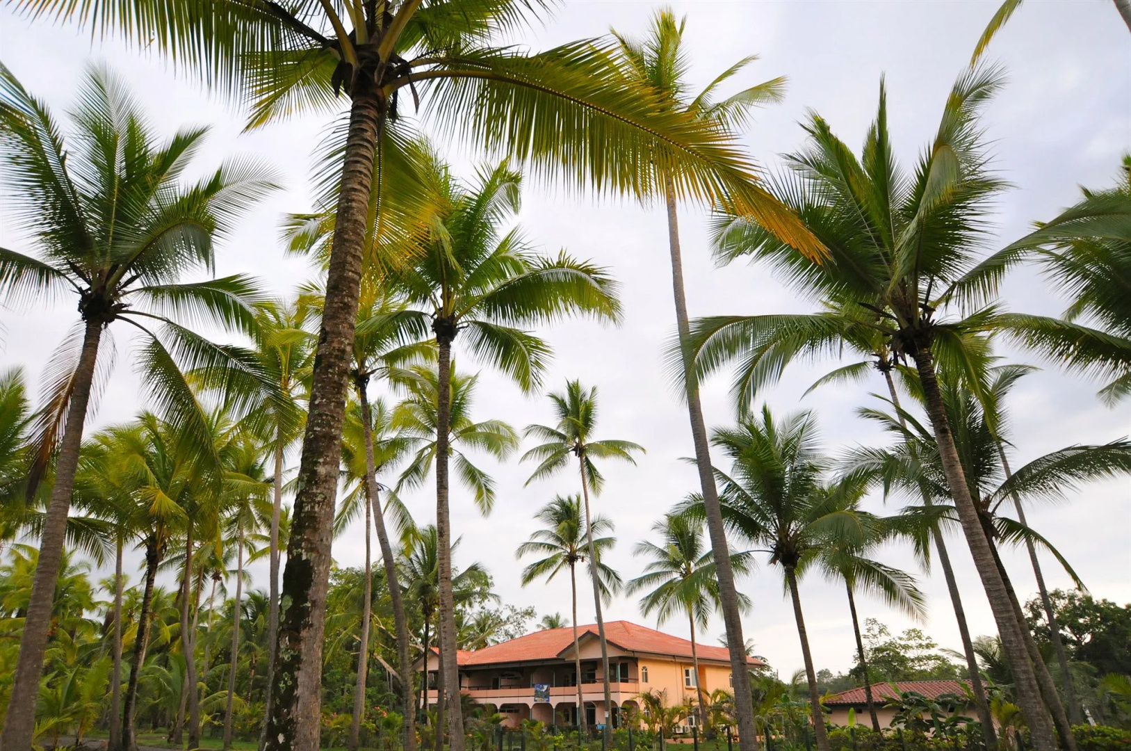 Hotel Cocomar Beachfront Hotel