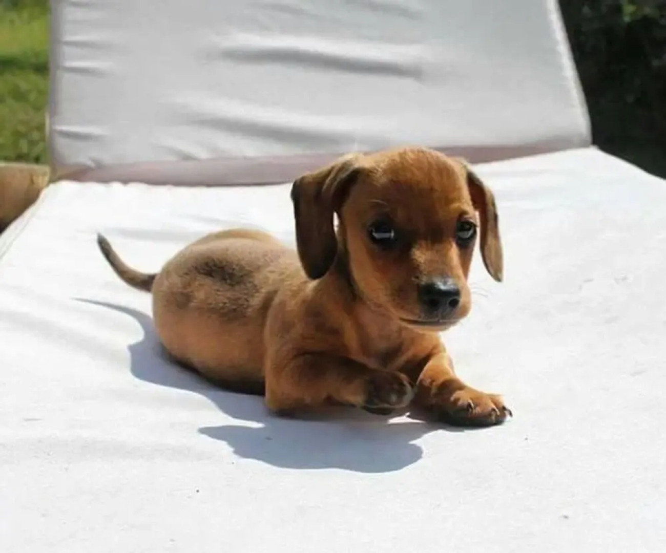 Woody's Cosy Winter Glamping