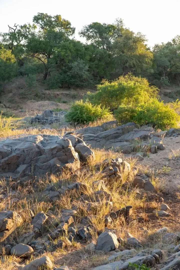 Villa Aloe Vera in Hoedspruit