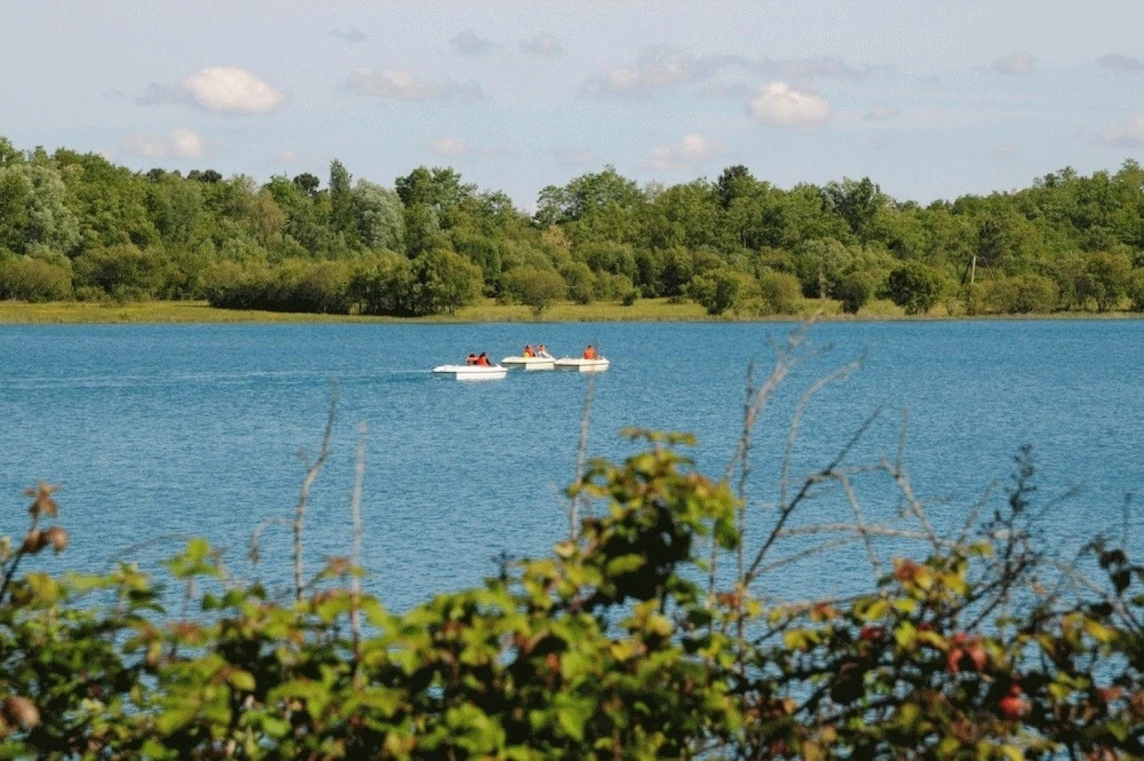 Le Gîte du Chêne Couché