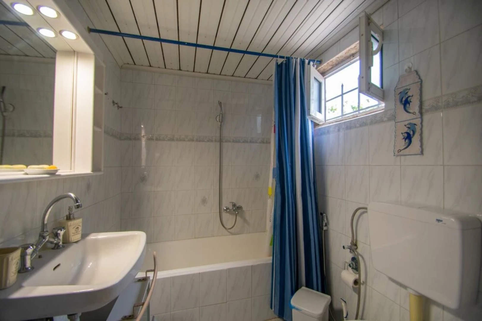 Traditional Village House