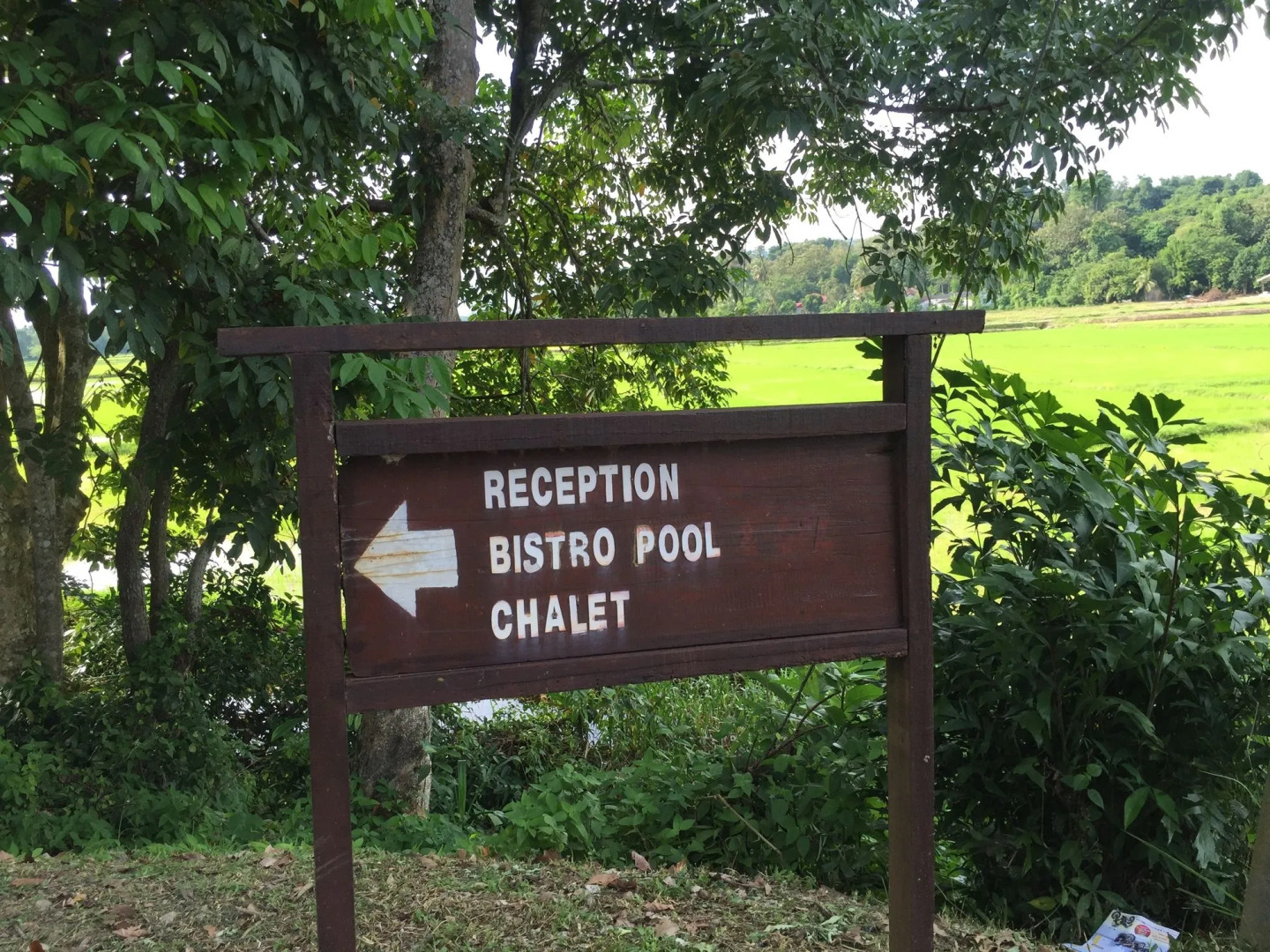 Kampung Tok Senik Hotel