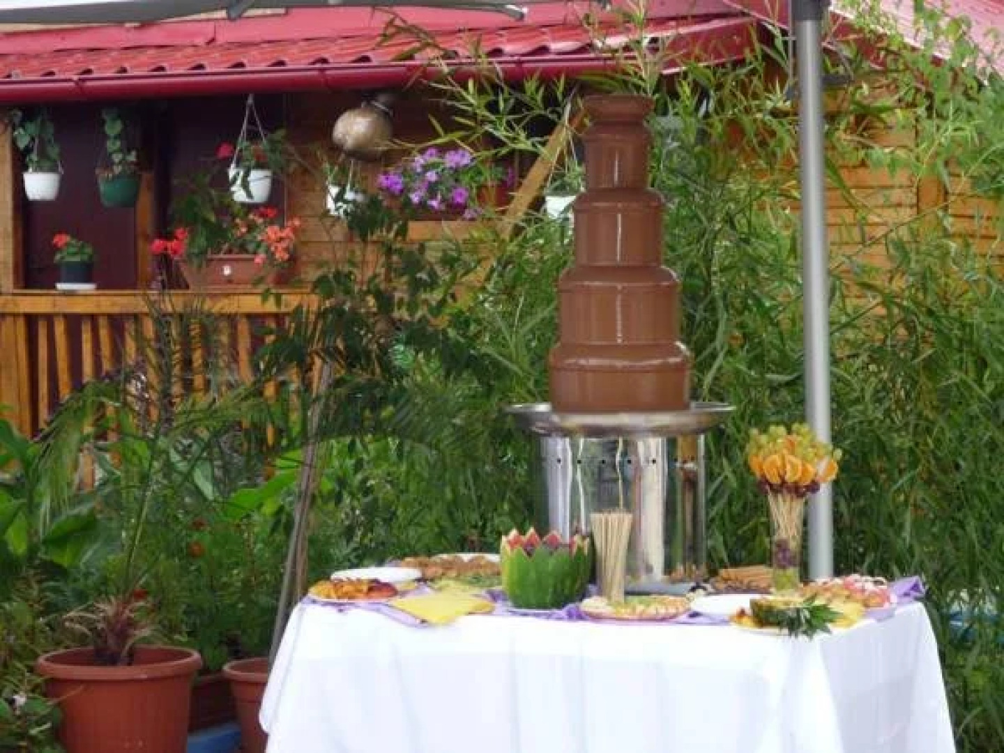 Pension Motanul Galanton