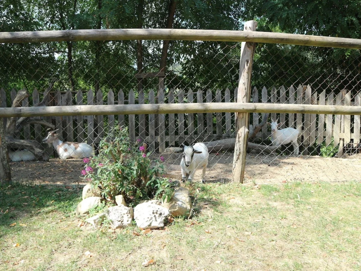 Beautiful Apartment With Garden, Patio, Pool, Barbecue