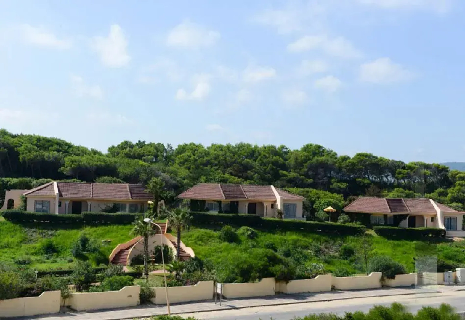 Golden Yasmin Mehari Tabarka