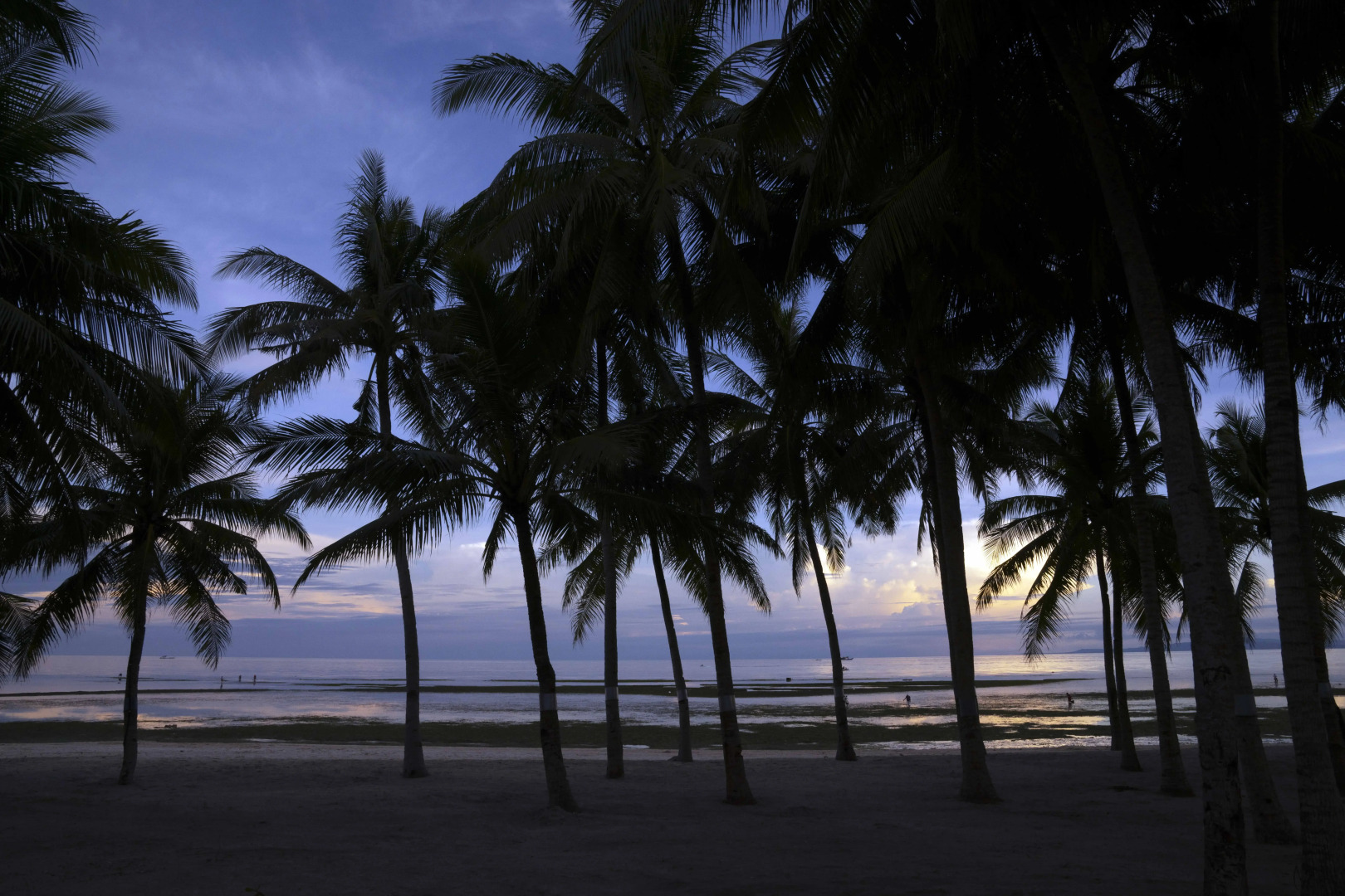 South Palms Resort And Spa Panglao - Mgallery Collection