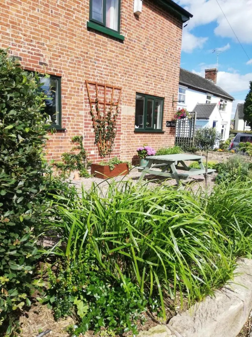 Olive Tree Guest House