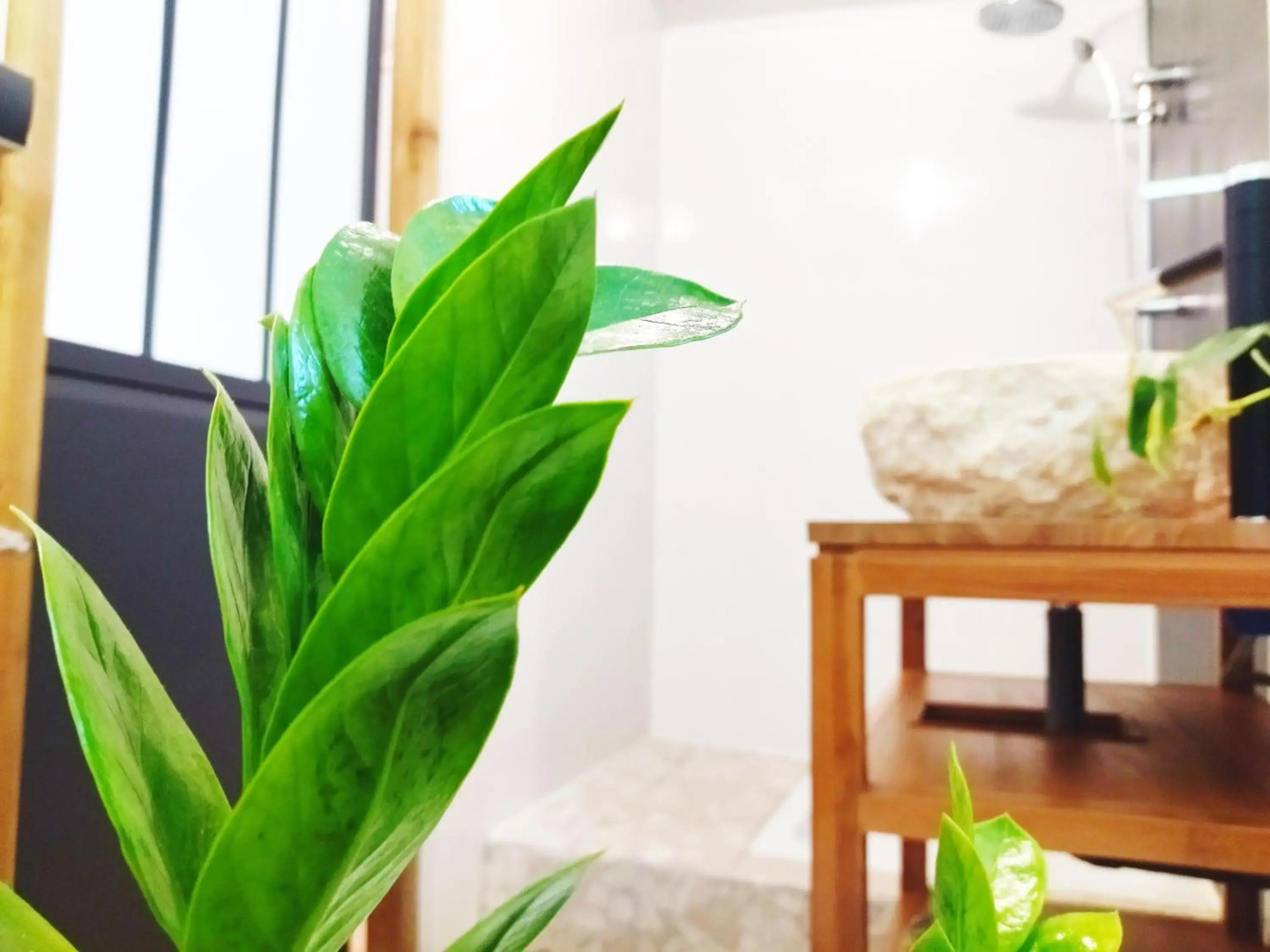 The Seven Motel Salazie à 15 min d'hell bourg