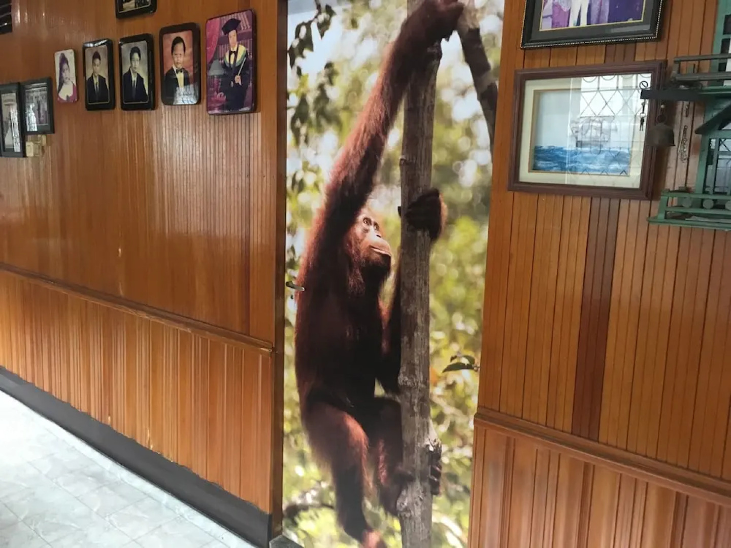 Arut Riverside Orangutan Guest house