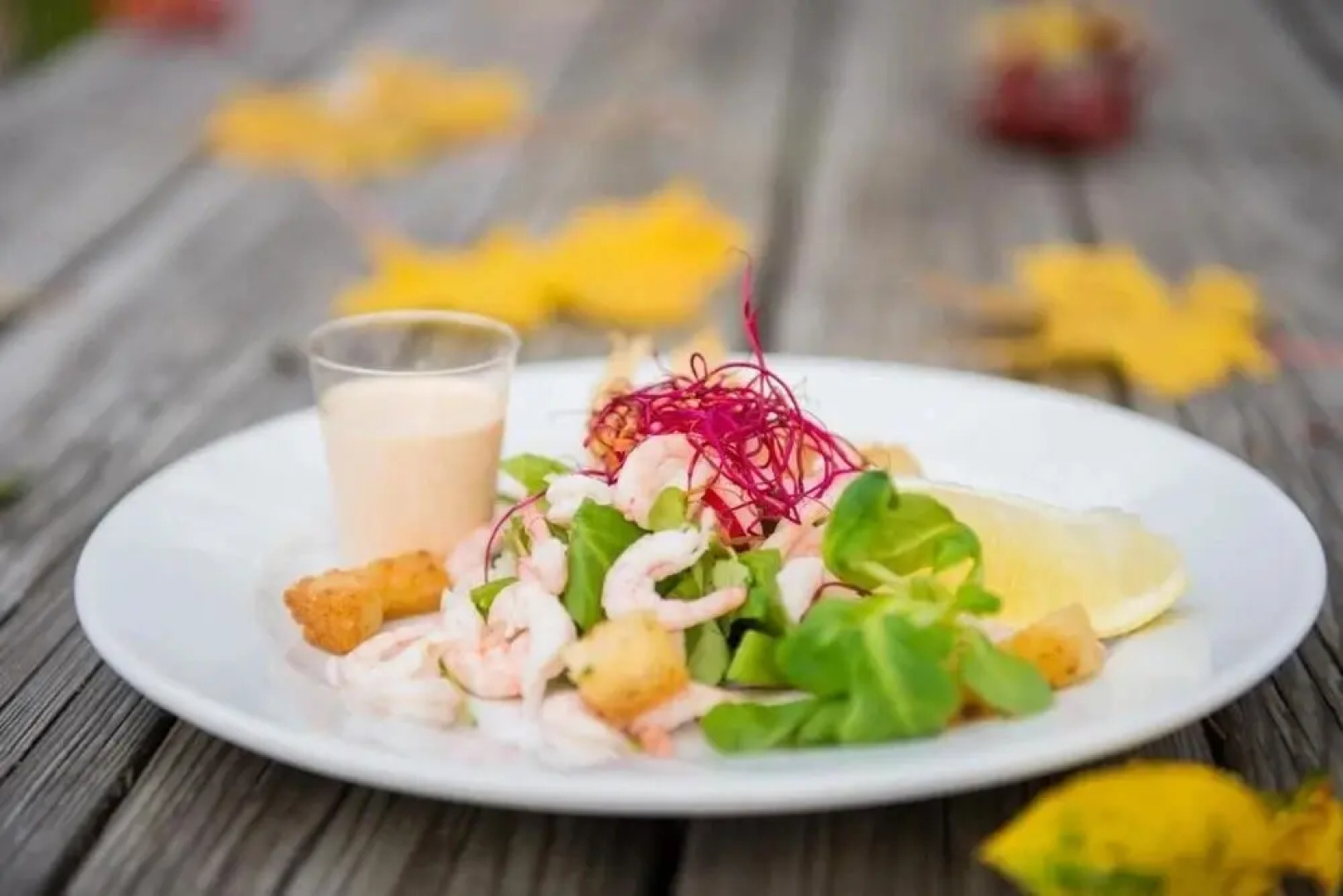 STF Edelviks Folkhögskola Burträsk