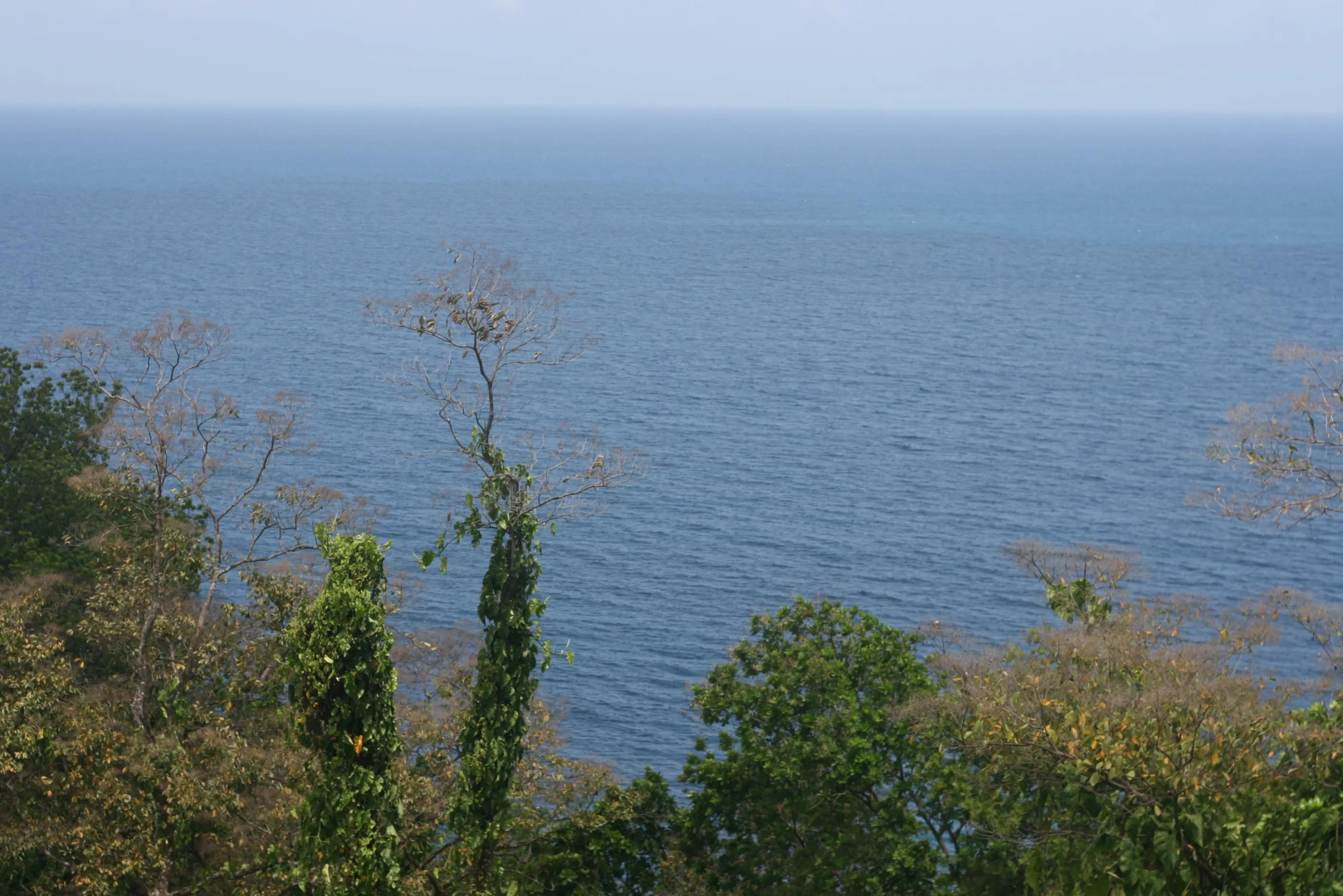 Rancho Juancho