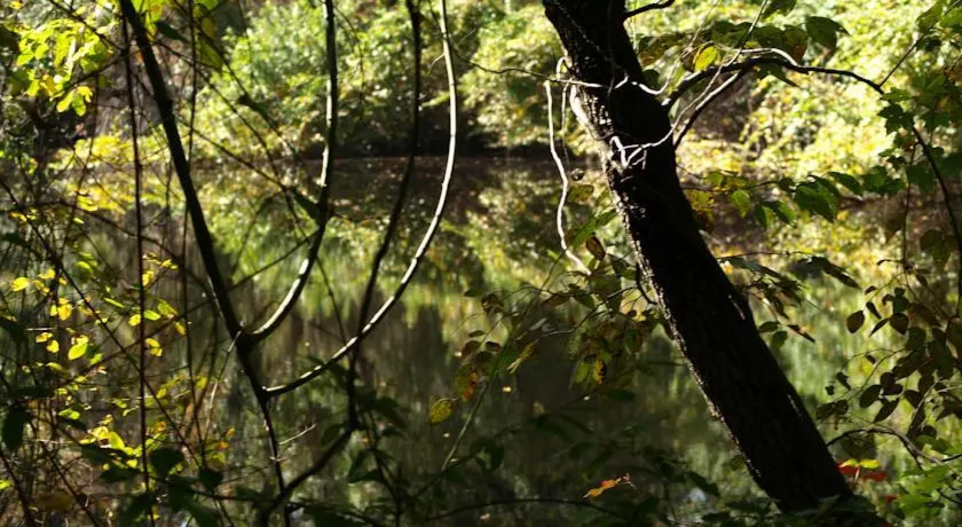 Our Private Paradise