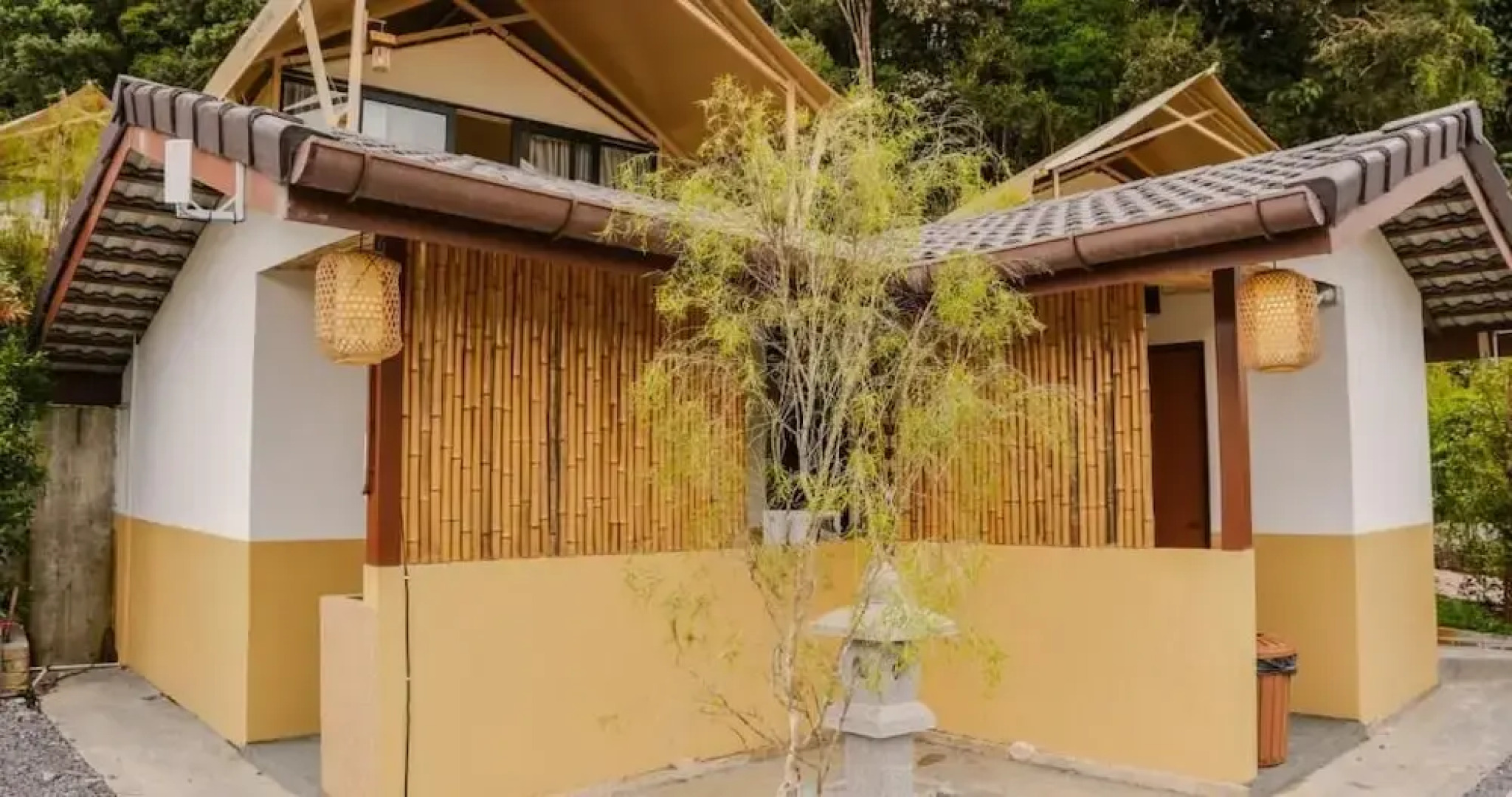 Zen By Stellar Cameron